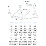 Olmo Nerax Ultegra Di2 2024 Landeveissykkel