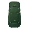 Green canopy/matcha green 1