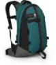 Dark pine green