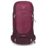 Osprey Sirrus 36 Sekk, Elderberry purple / chiru tan