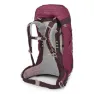 Osprey Sirrus 36 Sekk, Elderberry purple / chiru tan