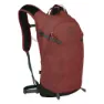 Osprey Sportlite 15 Sekk, Acorn / bonsai