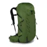 Osprey Talon 36 Sekk, Green belt / black