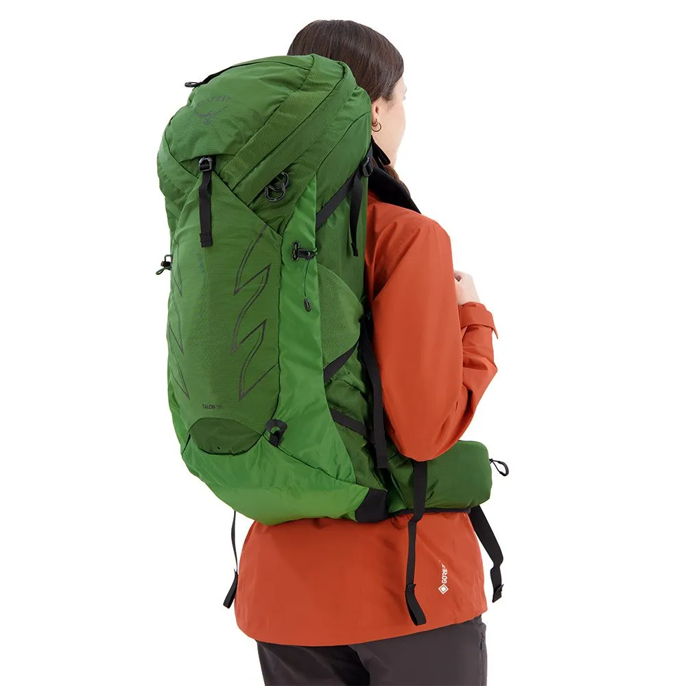 Osprey Talon 36 Sekk, Green belt / black Osprey Talon 36 Sekk, Green belt / black