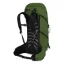 Osprey Talon 36 Sekk, Green belt / black