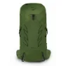 Osprey Talon 36 Sekk, Green belt / black