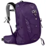 Violac purple 1
