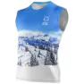 Snow forest