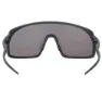 Out Of Rams Smoke Solbriller, Black, Smoke/CAT3