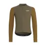 Brown olive