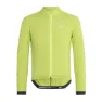 Brigth lime