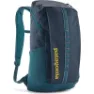 Tidal teal