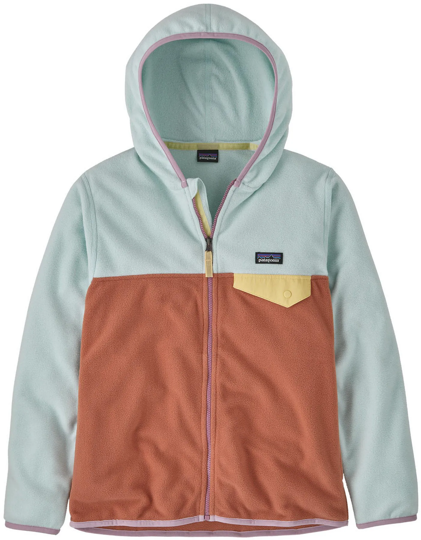 Patagonia Micro D Snap-T Fleece Jacket