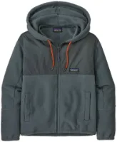 Patagonia Microdini Hoody W