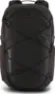 Patagonia Refugio Day Pack