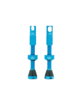 Peaty's x Chris King Tubeless Ventiler