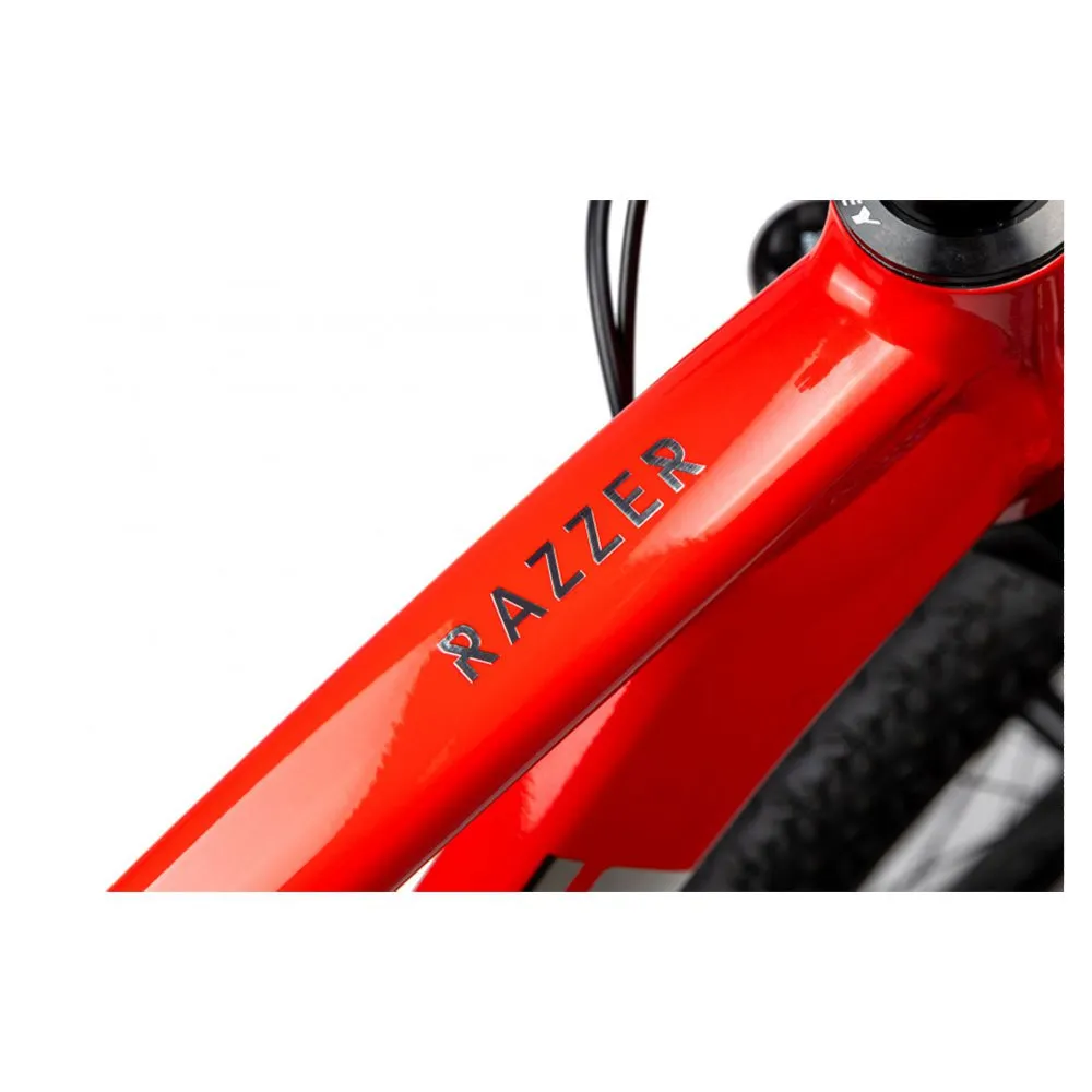 Pells Razzer Evo 1 29´´ Xt Rd-m8100 2024 Terrengsykkel Pells Razzer Evo 1 29´´ Xt Rd-m8100 2024 Terrengsykkel