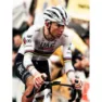 Pissei Replica World Champion Tadej Pogacar 2024 Uae Team Emirates Kort Ermet Trøye