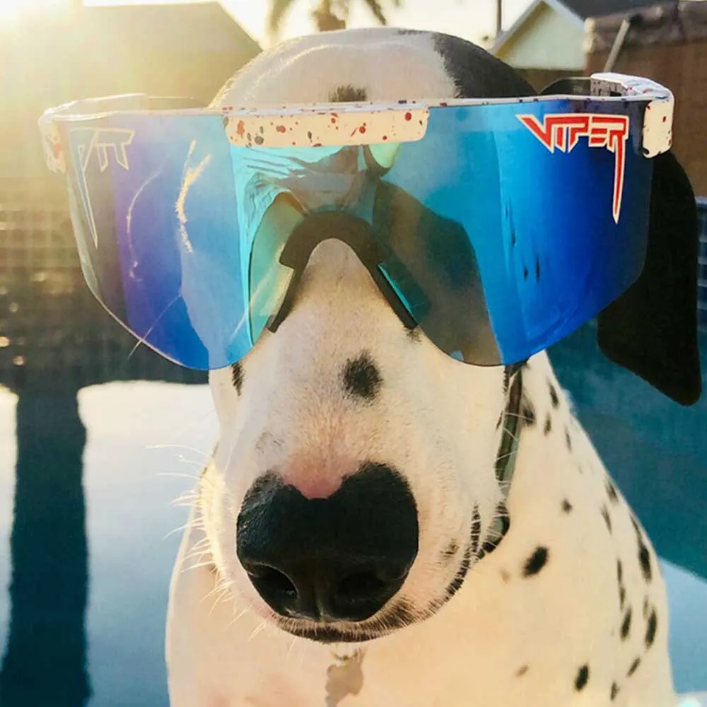 Pit Viper The Originals Absolute Solbriller, White, Blue/CAT3 Pit Viper The Originals Absolute Solbriller, White, Blue/CAT3
