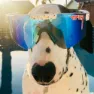 Pit Viper The Originals Absolute Solbriller, White, Blue/CAT3