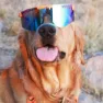 Pit Viper The Originals Crush Solbriller, Orange / black, Blue Mirror/CAT3