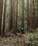 POC Resistance Pro DH Sykkelhansker