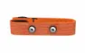 Polar Pro Chest Strap