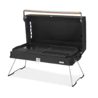 Primus Kuchoma 2500w Grill