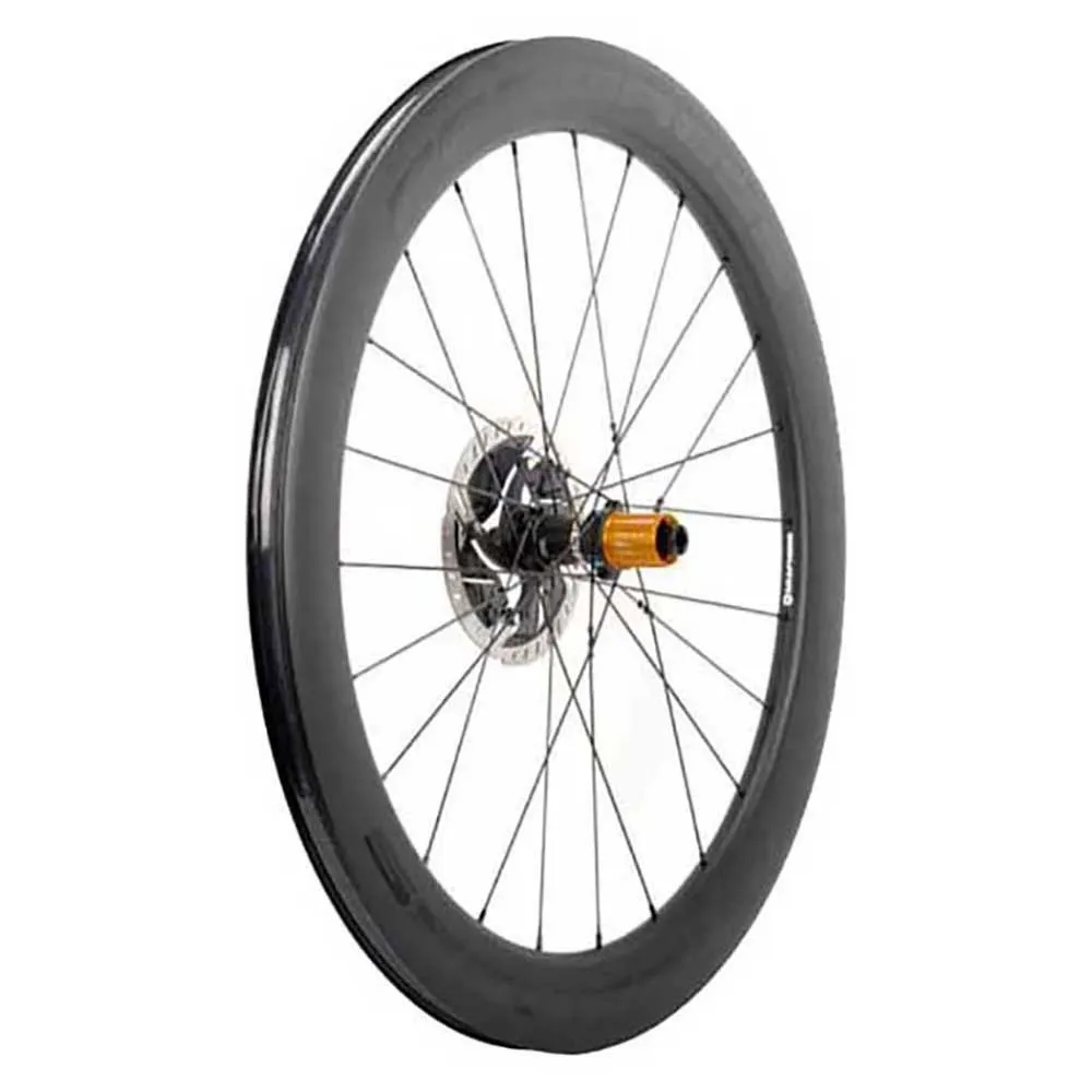 Progress Neon Disc Landeveissykkelens Bakhjul