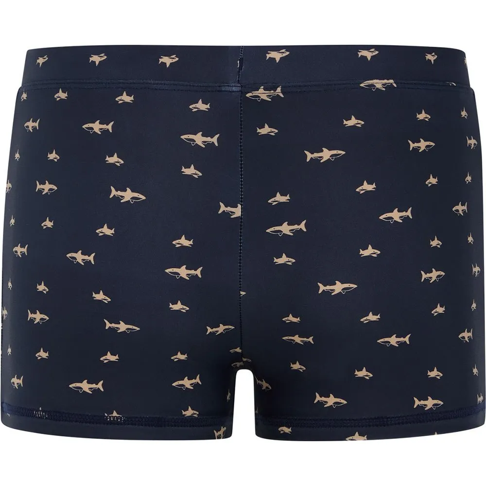 Protest Ivar Badeshorts Boxer male Protest Ivar Badeshorts Boxer male