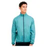 Arctic green