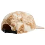 Protest Wheat Cap