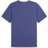 Puma Graphic Mesh? Kortarmet T-skjorte male