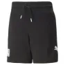 Puma Power Tr Shorts male