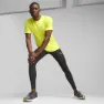 Puma Run Brushed Leggings female