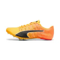 Puma Teamwear Evospeed Future 6 Løpesko Med Pigger male Puma Teamwear Evospeed Future 6 Løpesko Med Pigger male