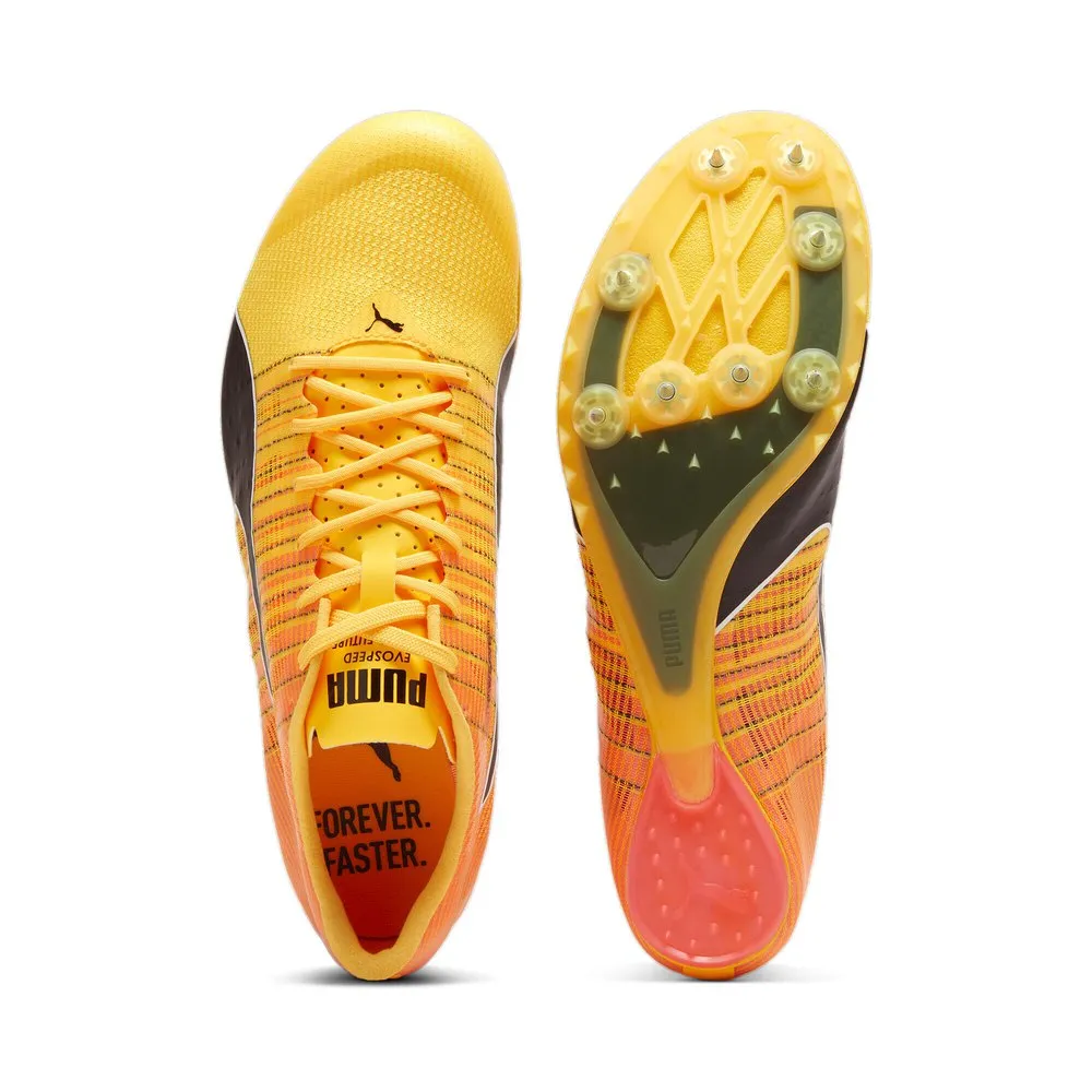 Puma Teamwear Evospeed Future 6 Løpesko Med Pigger male