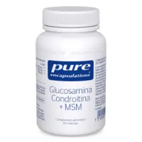 Pure Encapsulations Glucosamine Chondroitine + Msm Kapsler 60 Enheter Pure Encapsulations Glucosamine Chondroitine + Msm Kapsler 60 Enheter