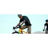 Q36.5 Adventure Kort Ermet Trøye
