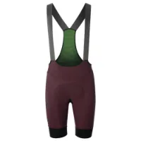 Q36.5 Gregarius Ultra Sykkelshorts