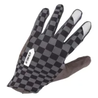 Q36.5 Hybrid Que X Hansker