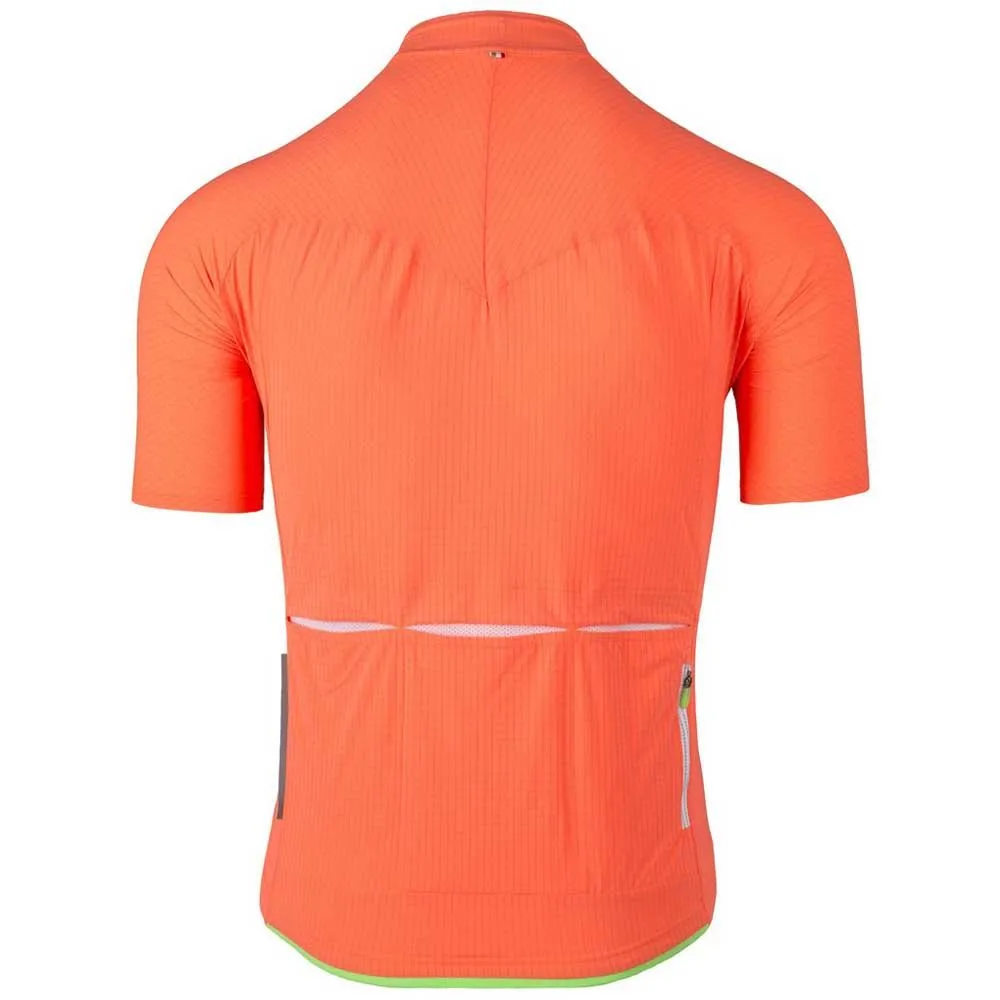 Q36.5 L1 Pinstripe Langermet Trøye, Persimon, M