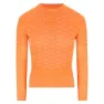 Golden poppy orange
