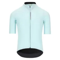 Q36.5 Pinstripe Pro Kort Ermet Trøye Q36.5 Pinstripe Pro Kort Ermet Trøye