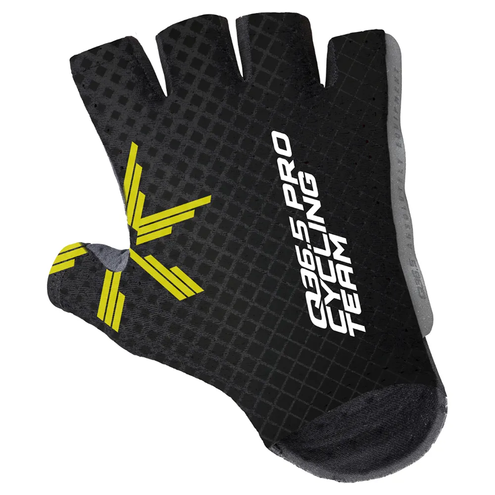 Q36.5 Pro Cycling Team Korte Hansker