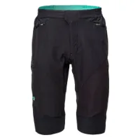 Radvik Xray Gts Shorts