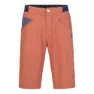 Rafiki Gnar Shorts