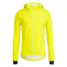 Chartreuse yellow