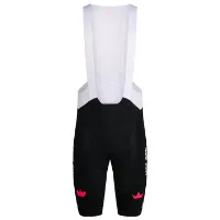 Rapha EF Pro Team Bib Shorts III Regular