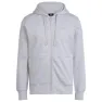 Light grey lgm
